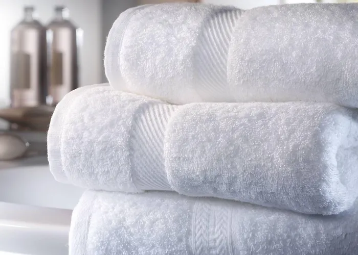 Vecchio Torchio Di Bed and breakfast Bard